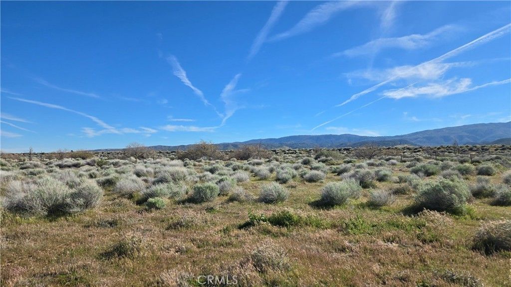 Image 21 of property listing at 0 Ave C vicinity 264th St W, Fairmont, CA 93536