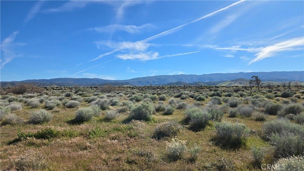 Image 22 of property listing at 0 Ave C vicinity 264th St W, Fairmont, CA 93536