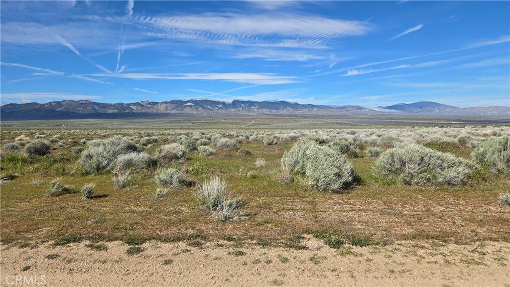 Image 4 of property listing at 0 Ave C vicinity 264th St W, Fairmont, CA 93536