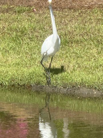 118 Ranch Haven Dr., Murrells Inlet, SC 29576