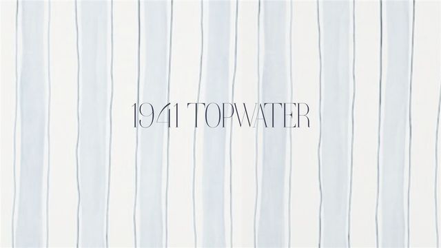 1941 Topwater, Aransas Pass, TX 78336