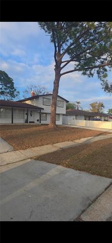 7907 W HIAWATHA STREET, Tampa, FL 33615