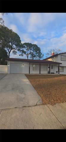 7907 W HIAWATHA STREET, Tampa, FL 33615