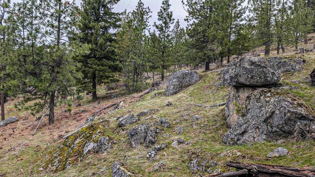 Lot 29 Barbi Ct, Chattaroy, WA 99003