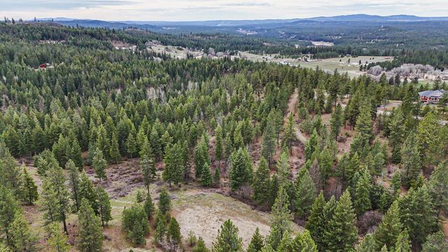 Lot 29 Barbi Ct, Chattaroy, WA 99003