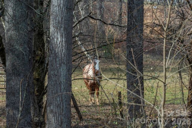 1720 Brevard Road, Arden, NC 28704