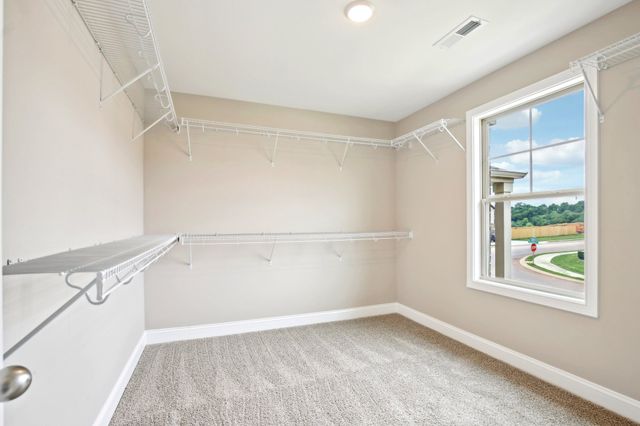 254 Cardinal Creek, Clarksville, TN 37040