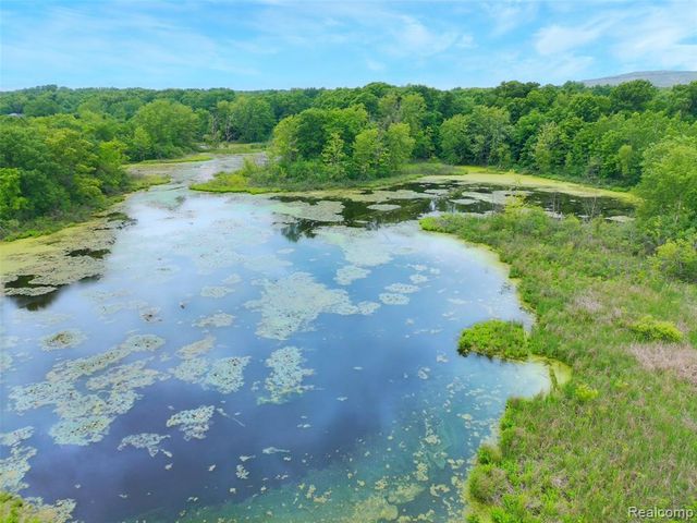 50573 Elmwood Court, Plymouth, MI 48170