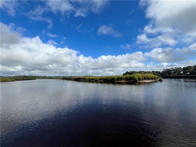 LOT 5 BLACK Island, Darien, GA 31305