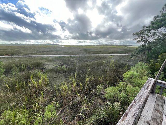 LOT 5 BLACK Island, Darien, GA 31305