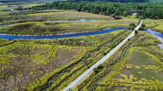 LOT 5 BLACK Island, Darien, GA 31305