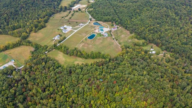 4445 Pine Grove Road, Means, KY 40346