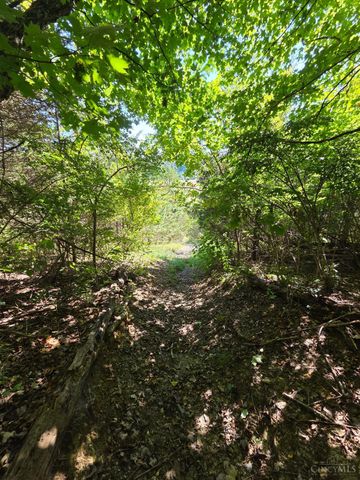 0 Union Chapel Road, Batavia Twp, OH 45103
