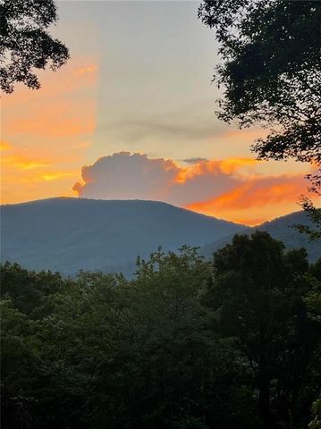 881 Fox Mountain Road, Cherry Log, GA 30522