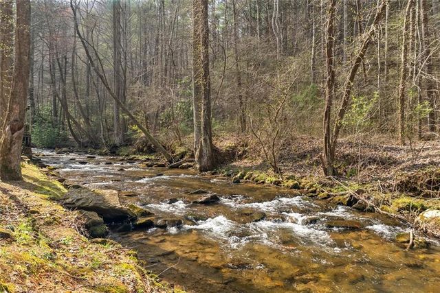 881 Fox Mountain Road, Cherry Log, GA 30522