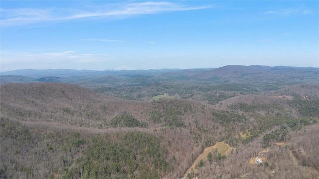 881 Fox Mountain Road, Cherry Log, GA 30522
