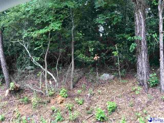 436 E Siesta Dr, Florence, SC 29505