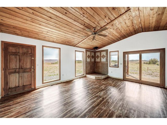 121 Bristlecone Ln, Fairplay, CO 80440