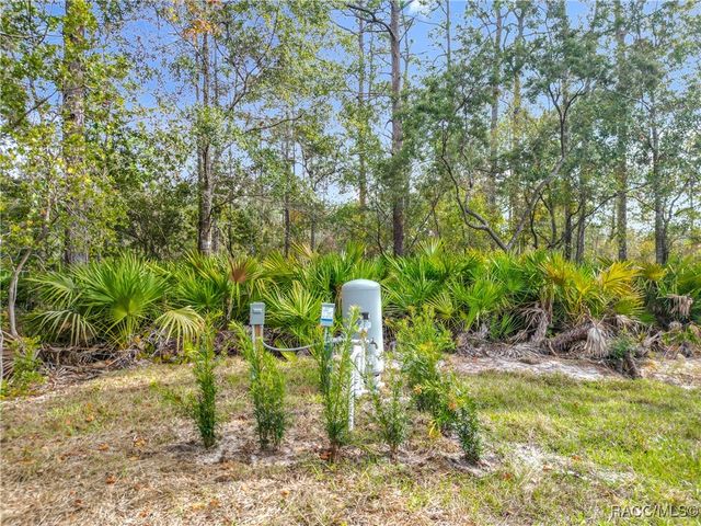 8405 N Ironwood Terrace, Crystal River, FL 34428