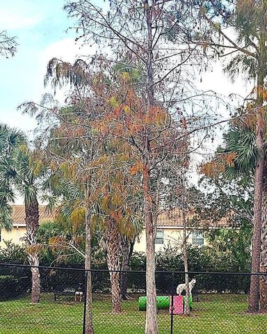 4167 N Haverhill Road 1111, West Palm Beach, FL 33417