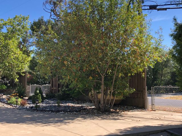 18594 Poplar, Plymouth, CA 95669