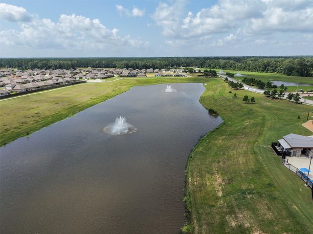 21106 Waze Lewis Drive, New Caney, TX 77357