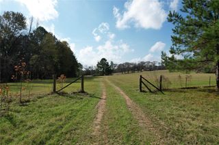 TBD County Rd 1585, Grapeland, TX 75844