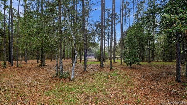 12092 S Hyacinth Point, Floral City, FL 34436