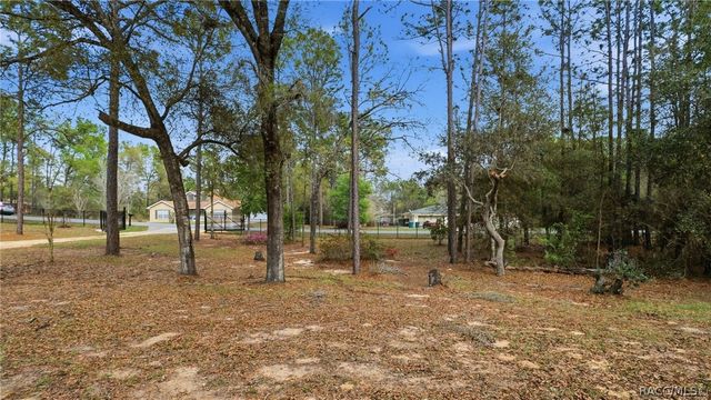 12092 S Hyacinth Point, Floral City, FL 34436