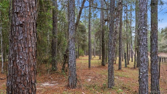 12092 S Hyacinth Point, Floral City, FL 34436