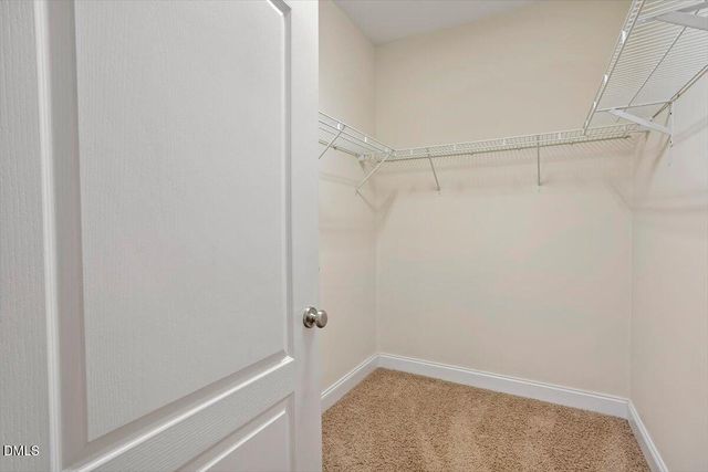 1401 Coopershill Drive 206, Raleigh, NC 27604