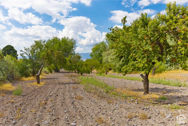 442 E VALLEY VIEW LN, Monroe, UT 84754