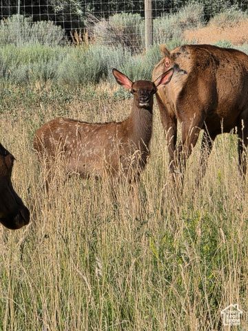 442 E VALLEY VIEW LN, Monroe, UT 84754