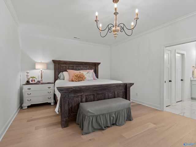 28975 River Stone Drive NW, Madison, AL 35756