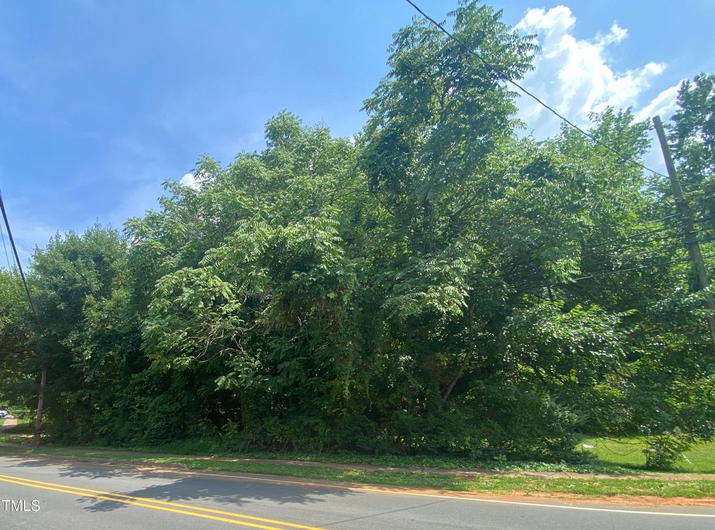 421 W Holt Street, Mebane, NC 27302