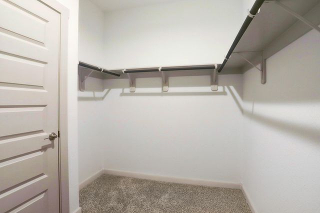 29866 Wildcat Way, Katy, TX 77494