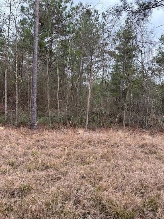 0 Salco Road, Axis, AL 36505 — exterior