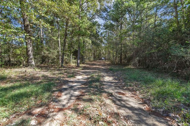 695 Piney Trail, Livingston, TX 77351