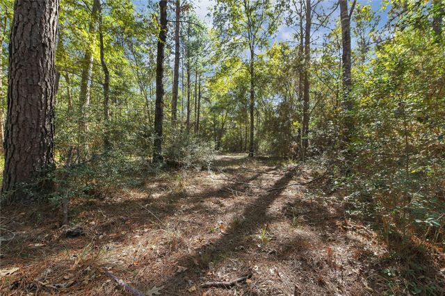 695 Piney Trail, Livingston, TX 77351