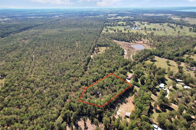 695 Piney Trail, Livingston, TX 77351