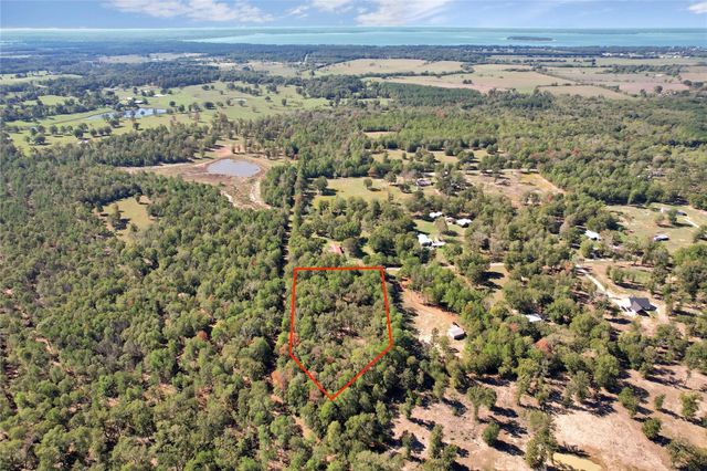695 Piney Trail, Livingston, TX 77351