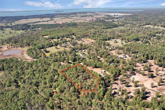 695 Piney Trail, Livingston, TX 77351