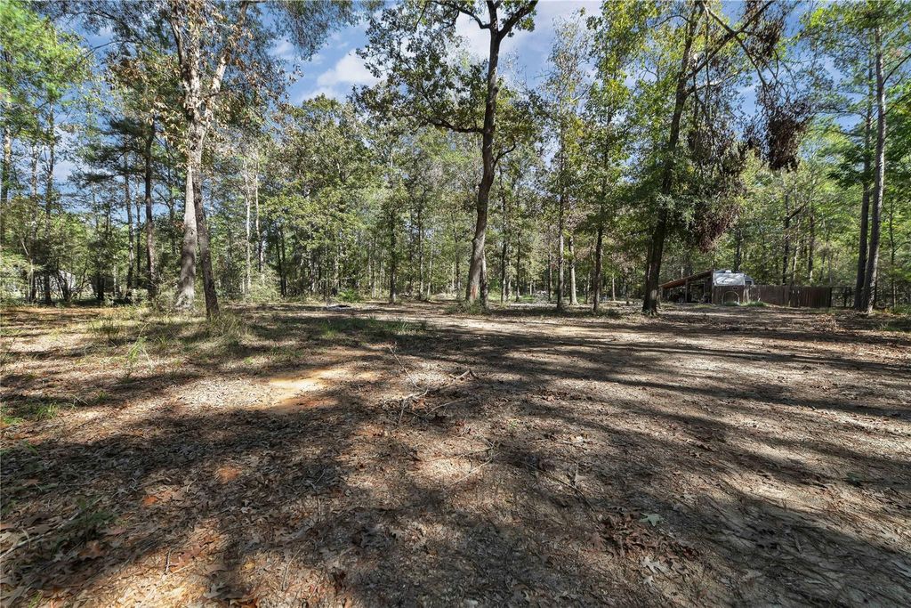 695 Piney Trail, Livingston, TX 77351