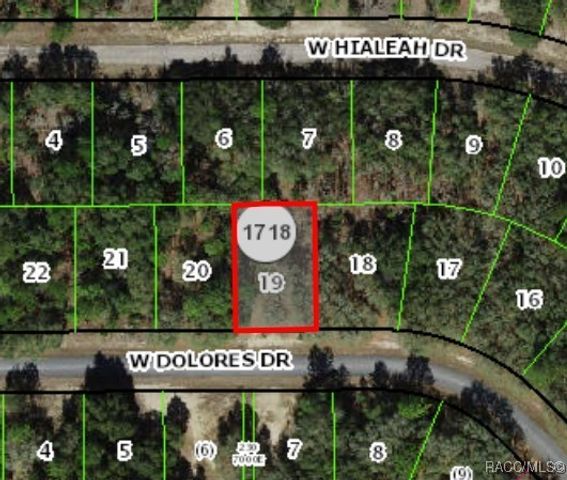 1427 W Dolores Drive, Citrus Springs, FL 34434