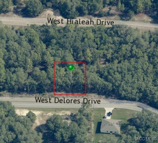 1427 W Dolores Drive, Citrus Springs, FL 34434