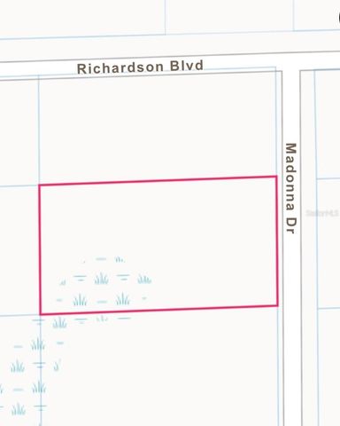 0 MADONNA DR, LOT 2, Webster, FL 33597