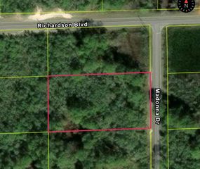 0 MADONNA DR, LOT 2, Webster, FL 33597