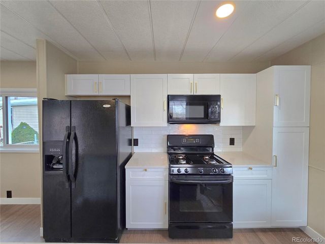 156 Mallard Street, Golden, CO 80401