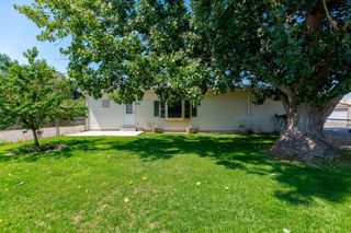 707 36 3/10 Road, Palisade, CO 81526