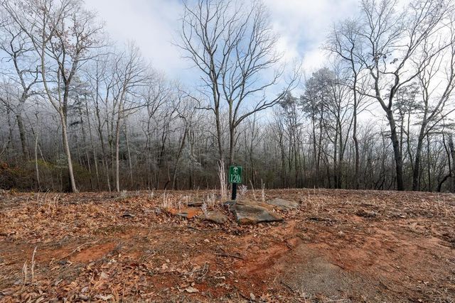 Lot 120 Serene Pond Trail, Murphy, NC 28906